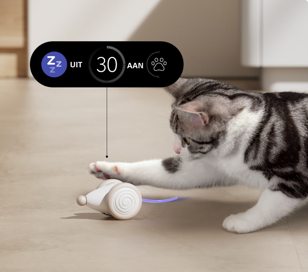 Det ultimate tyggeleketøyet for katter – WhiskerPlay