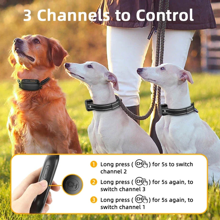 AA OOS Elektrisches Hundetraining-Halsband mit 1000 m Reichweite und wasserdichtem Design – PetTrainer
