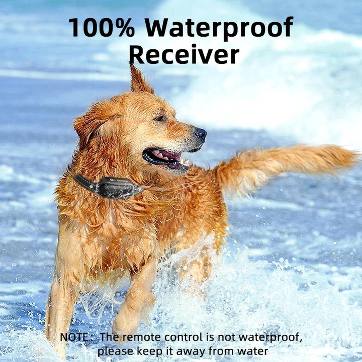 AA OOS Elektrisches Hundetraining-Halsband mit 1000 m Reichweite und wasserdichtem Design – PetTrainer