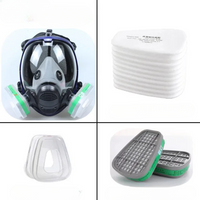 Full face mask with anti-fog lens and industrial gas filters