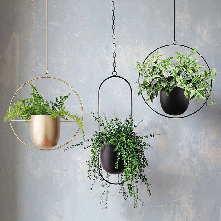 Stylish Plant Hanger for Indoor and Outdoor Use – LeafLuxe