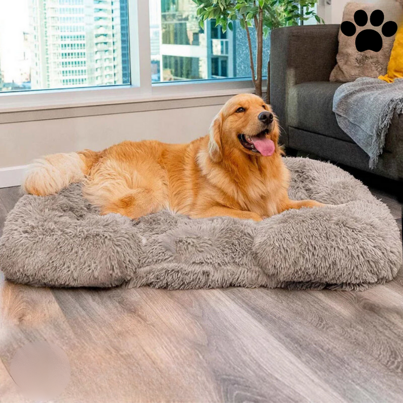 Beroligende hundeseng med memory-skum - Charlie