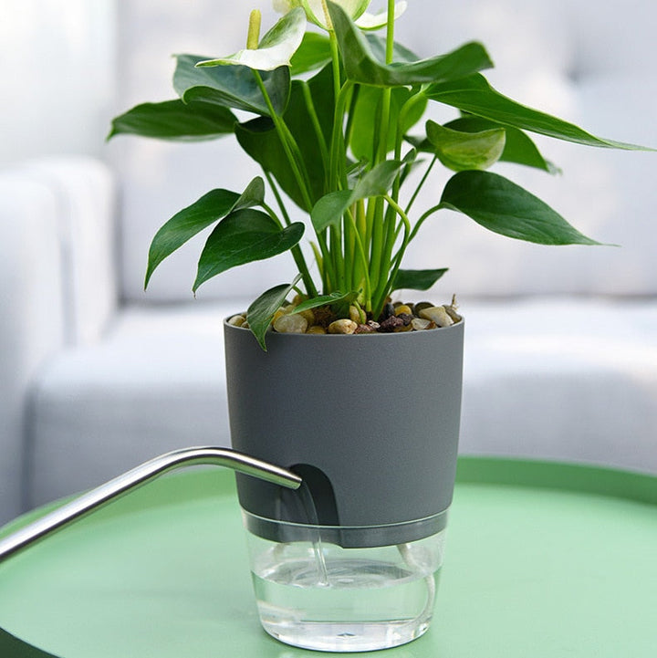 Selvvannende plantekasse – AquaBloom