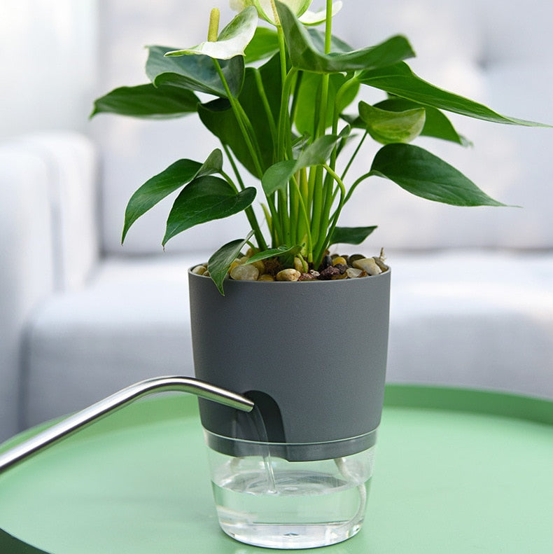Selvvannende plantekasse – AquaBloom