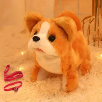 Interactive Robo-Dog for Children – BuddyDog