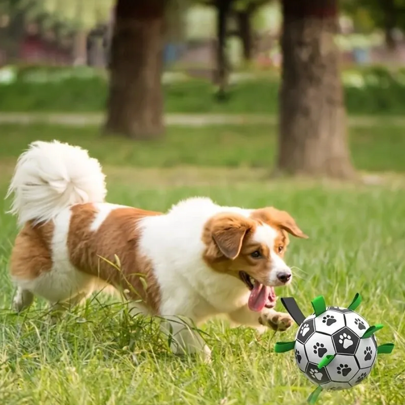 Nachhaltiger Hundesportball mit Griffen – TugBounce