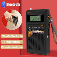 Bærbar Bluetooth-radio og MP3-spiller - SoundPocket Mini