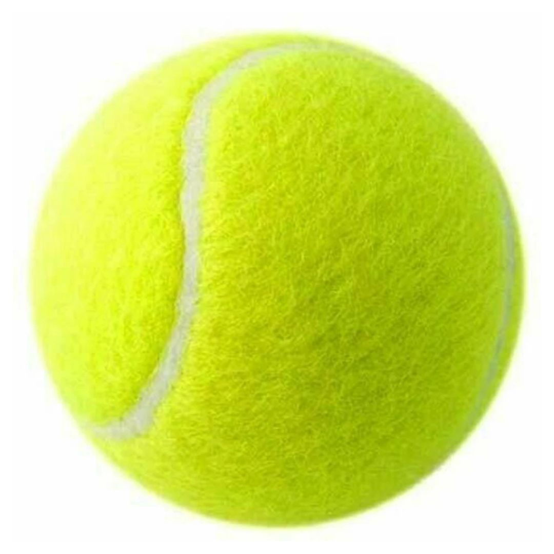 Victor Practice Tennis Balls