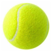 Victor Practice Tennis Balls