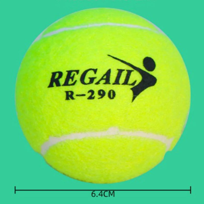 Victor Practice Tennis Balls