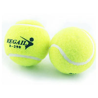 Victor Practice Tennis Balls