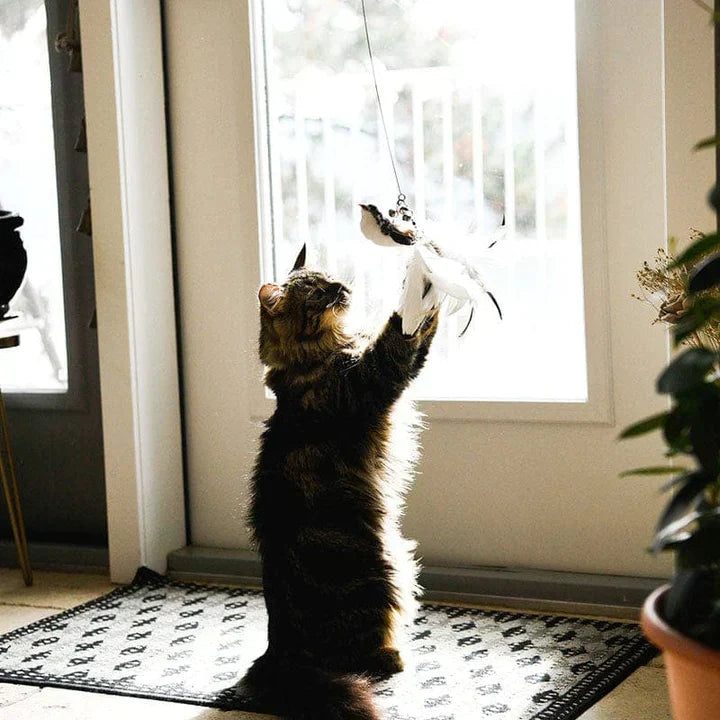 Interaktivt kattelegetøj - FlutterVriend
