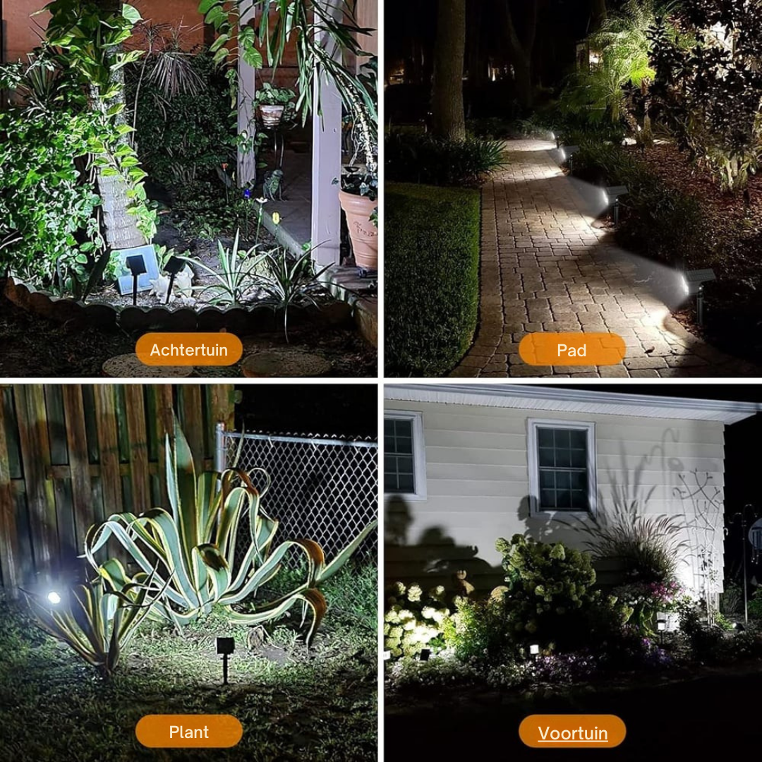 Vier Nachtaufnahmen mit kaltweißem Licht der Strahler: Beete im Garten, Pflasterweg, eine Agave am Zaun und Pflanzen vor einer Hauswand. 9