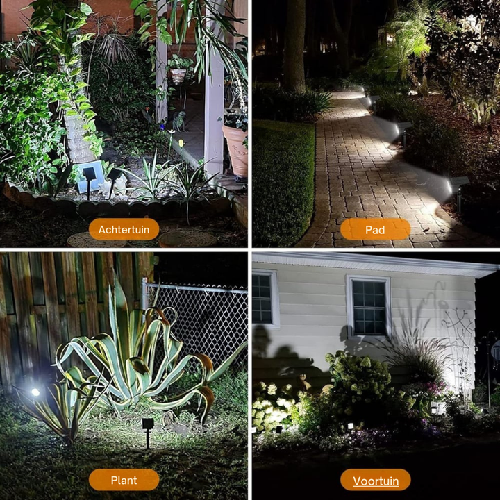 Vier Nachtaufnahmen mit kaltweißem Licht der Strahler: Beete im Garten, Pflasterweg, eine Agave am Zaun und Pflanzen vor einer Hauswand. 9