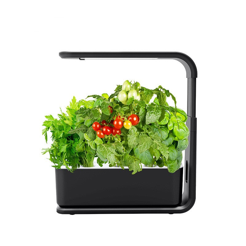 Intelligent Hydroponic Indoor Plant System – GreenBloom Hydro
