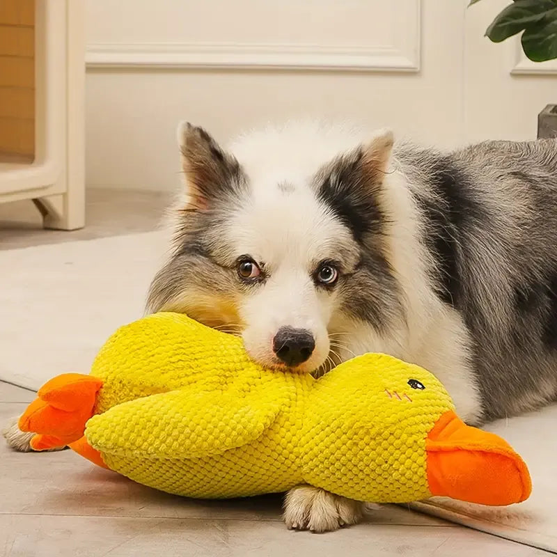 Interaktivt hundelegetøj med lyd og tandrensning - FlappyDuck