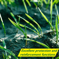 Biodegradable Grass Seed Mat - Verdi