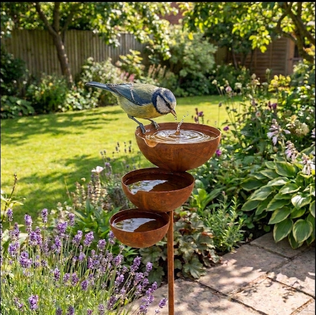 Eine Blaumeise trinkt aus der oberen Schale, davor blüht Lavendel neben einer Steinplatten-Terrasse 5