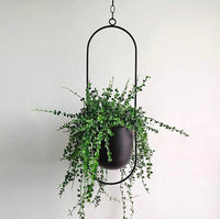 Stylish Plant Hanger for Indoor and Outdoor Use – LeafLuxe