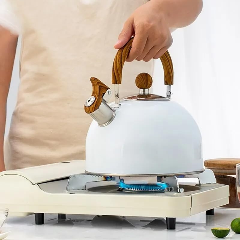 Hervidor de agua de acero inoxidable con silbato – Kavana