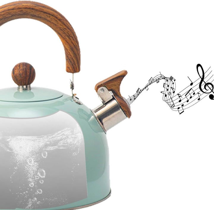 Hervidor de agua de acero inoxidable con silbato – Kavana