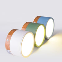 Morandi Stil Moderne LED Loftlampe - LumiModo