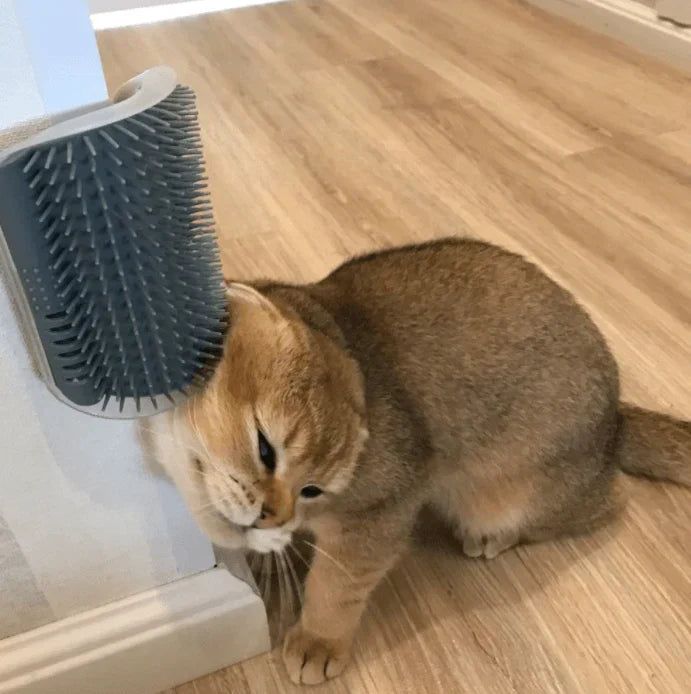 Kattehjørnebørste til selvpleje - PurrGroom
