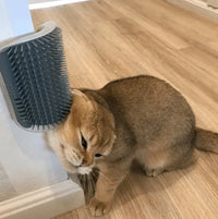 Kattehjørnebørste til selvpleje - PurrGroom