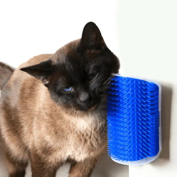 Kattehjørnebørste til selvpleje - PurrGroom
