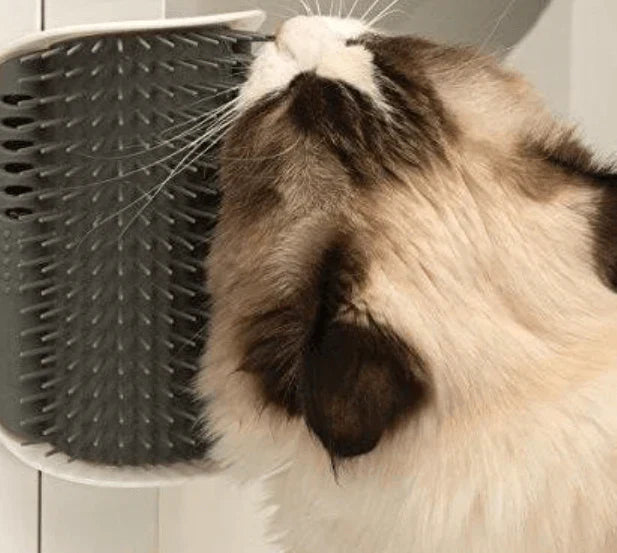 Kattehjørnebørste til selvpleje - PurrGroom