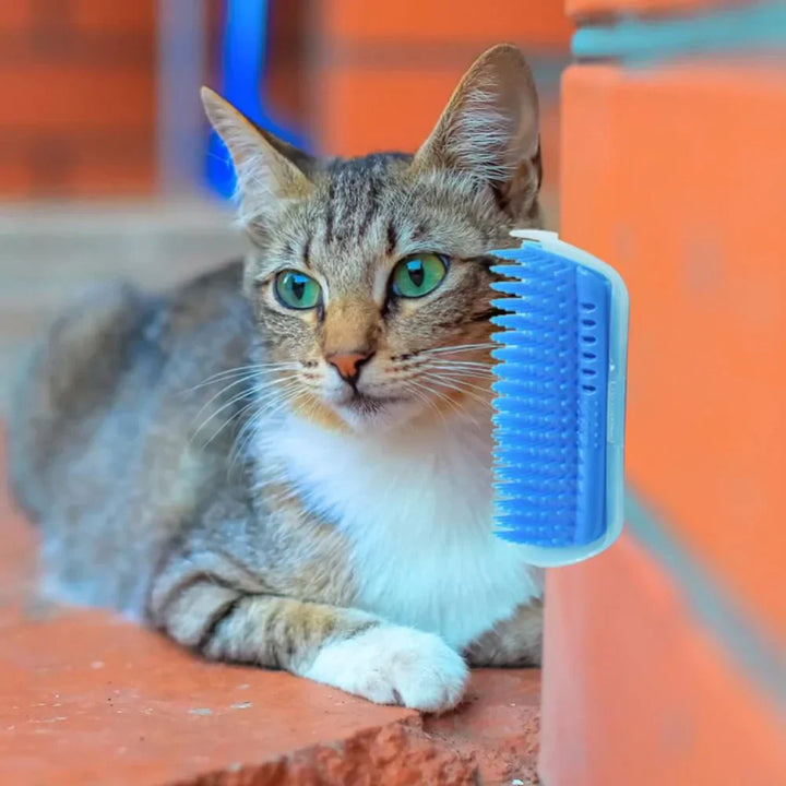 Kattehjørnebørste til selvpleje - PurrGroom