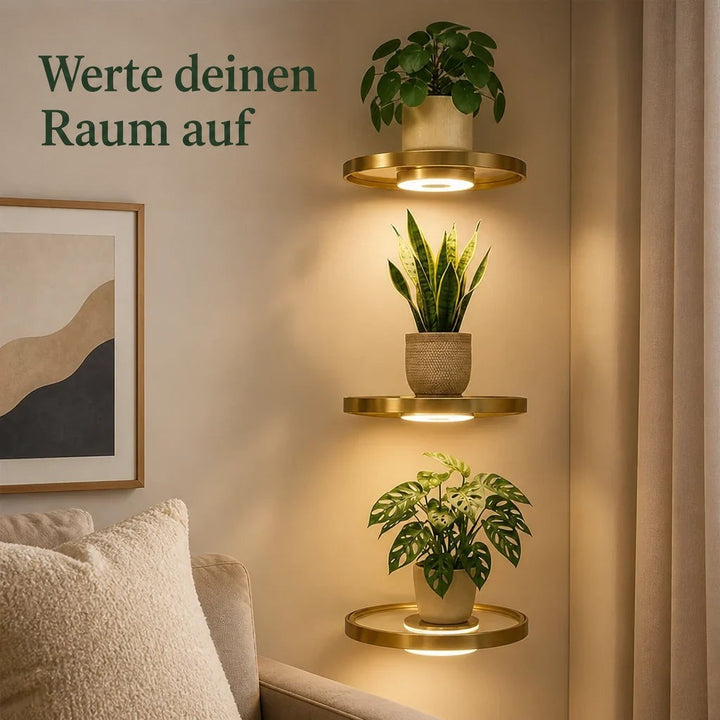 Drei runde goldene Wandregale mit warm leuchtender Unterseite tragen Zimmerpflanzen an einer Wand neben Sofa, Kissen und gerahmtem Bild. 1