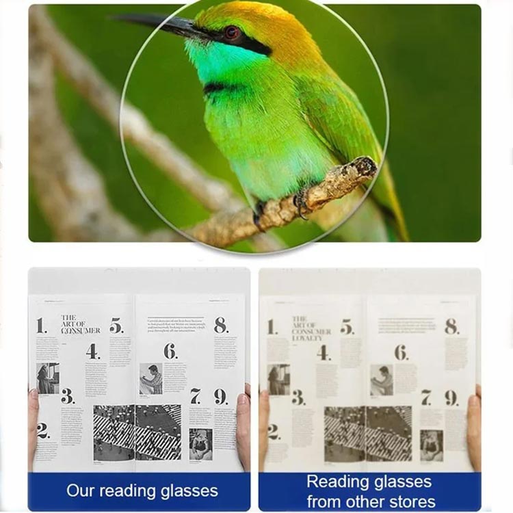 Collage mit einem grünen Vogel auf einem Ast in der Lupe und Zeitungsseiten im Schärfevergleich. 8