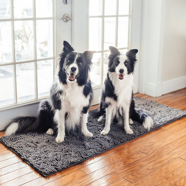 Zwei Border Collies sitzen auf der grauen Zottelmatte vor einer verglasten Tür auf glänzendem Holzboden. 10