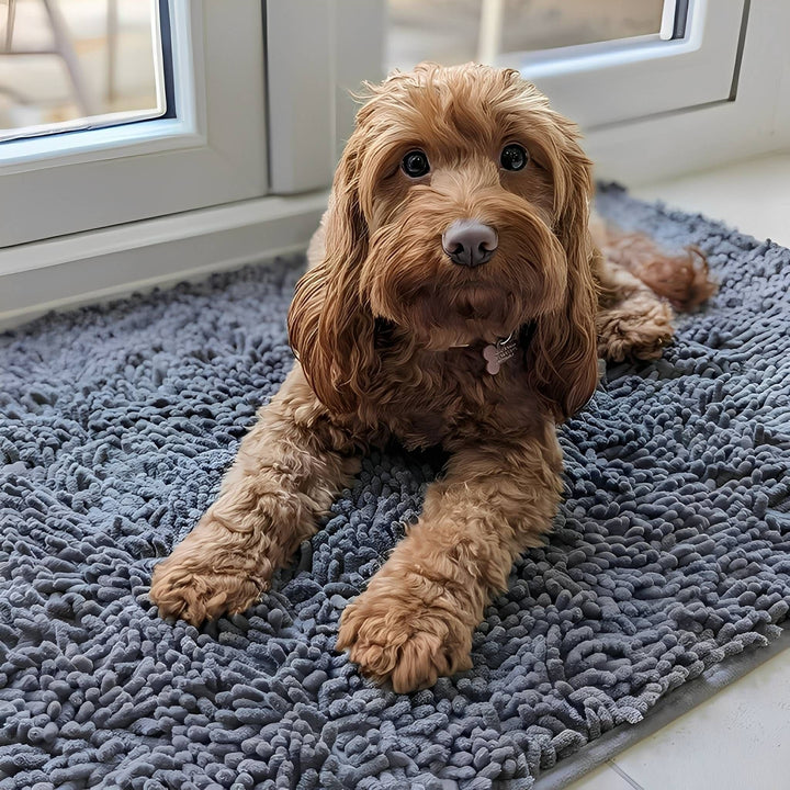 Brauner Hund liegt mit ausgestreckten Pfoten auf der grauen Mikrofaser-Matte neben einer weißen Tür. 2