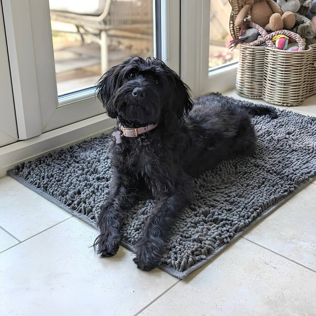 Schwarzer Hund liegt mit rosa Halsband auf der grauen Matte auf hellem Fliesenboden vor der Terrassentür. 3