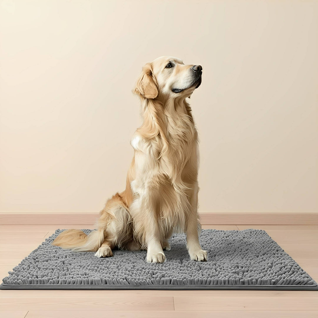 Golden Retriever sitzt aufrecht auf der grauen Zottelmatte vor einer hellen Wand auf Holzboden. 1