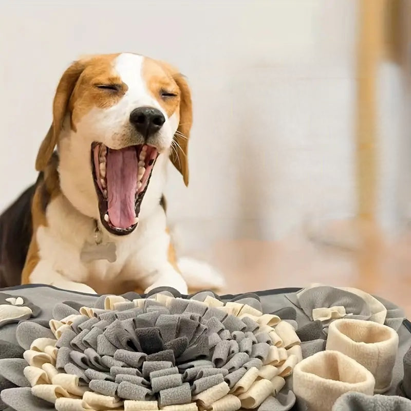 Make mealtime a sniffing adventure – Buddy Snuffle Mat