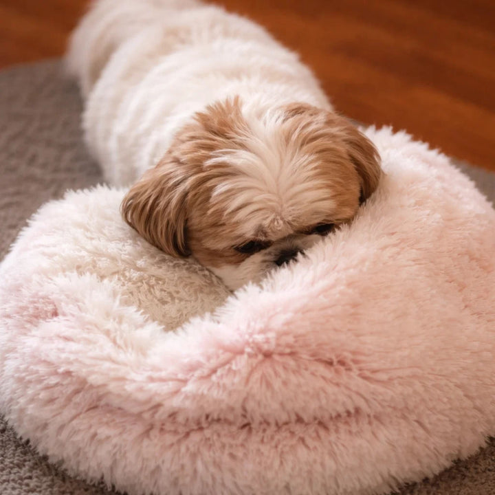 Shih-Tzu-Welpe legt den Kopf auf den Rand eines rosafarbenen Plüsch-Donutbetts mit cremeweißer Mulde. 12
