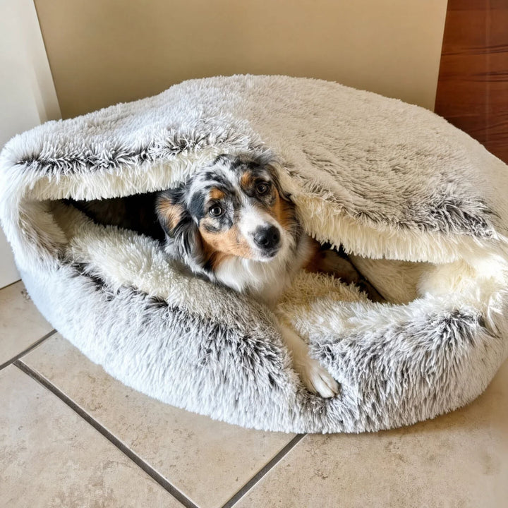 Hund mit Merle-Fell blickt unter der aufgeklappten Kapuze der grauen Plüschhöhle hervor, die auf Fliesenboden liegt. 7
