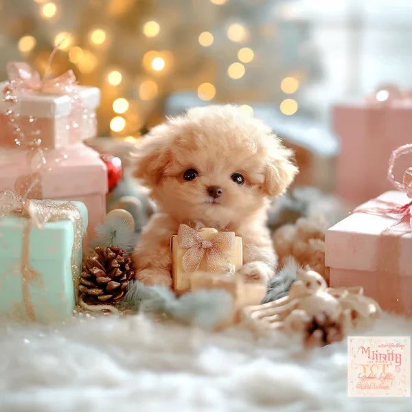 Beiges Plüschwelpchen liegt zwischen rosa und mintfarbenen Geschenken, Tannenzapfen und Lichterglanz auf einem weißen Flauschteppich. 4