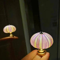 DIY Sea Urchin Night Light - LumiUrchin