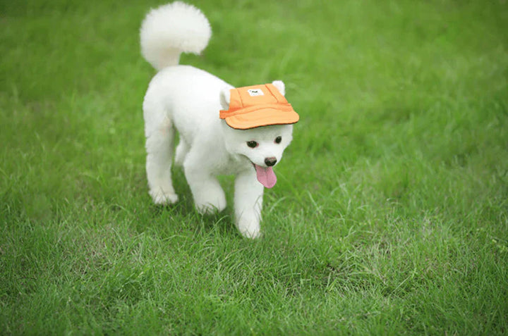 Stilvolle Runde Rand Hunde-Cap - SunnyPaws