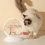 Selbstfüllender Wasserspender für Katzen und Hunde – AquaPaw