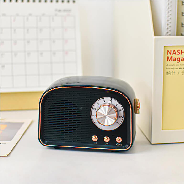 Vintage Bluetooth Speaker with FM Radio – RetroVibe