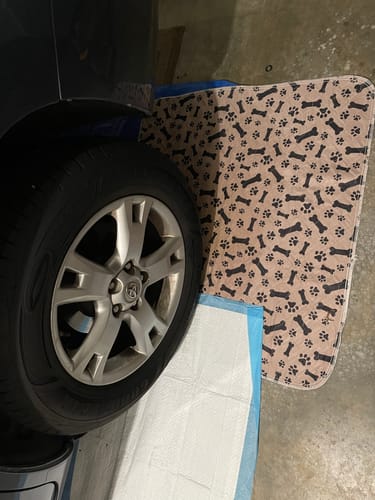 Leak-proof Pet Mat – PetPaws Comfort Mat