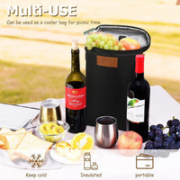 Insulated Double Wine Bottle Carrying Bag – Buy 1, Get 1 FREE – ChillMate