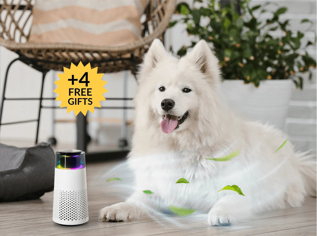 Dyrelukt-luftfukter – PetFresh