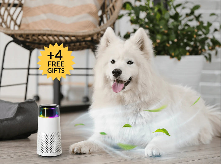 Dyrelukt-luftfukter – PetFresh