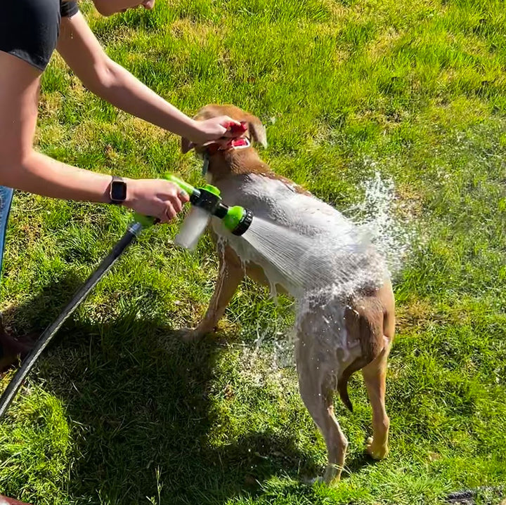 Dog shower spray - WashBuddy